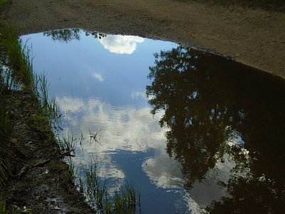 Zrcadlo spadlo do kaluže.