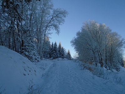 Bílá nádhera.