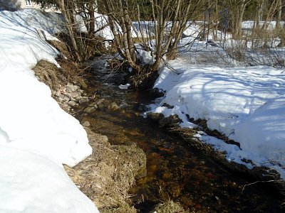 Tady se konalo vystoupení Vodník ve skvělém podání Libušky, Alenky, Lidmily, Pavly a mé maličkosti.