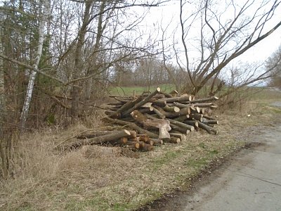 Všude se kácí, bude dřevo do kamen.