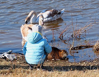 03-03-krmeni-u-labe.jpg