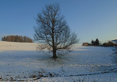 Tady vládnu já.