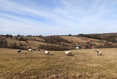 Valašské paseky