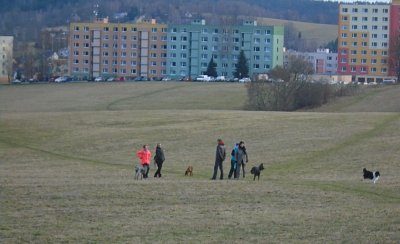 Druhému pejskovi zprava chybí zadní noha...