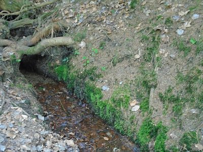 Trochu vody neuškodí.