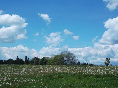 Pohoda v přírodě: všude kolem