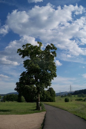 U koňské pastviny