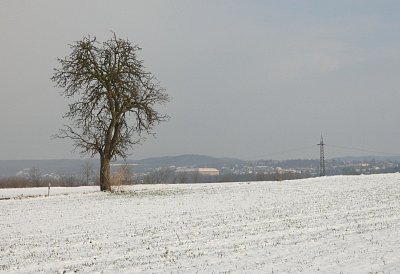 11-zamek-v-roudnici.jpg