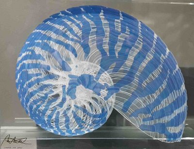 12-nautilus-modry-2023-21-kg-215000-kc.jpg