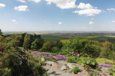 13-Arboretum Makču Pikču