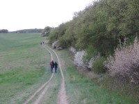 12. Stále jdeme, Karlštejn se blíží