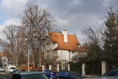 14-nahlovskeho-vila.jpg