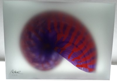 15-nautilus-2017-21-kg-215000-kc.jpg