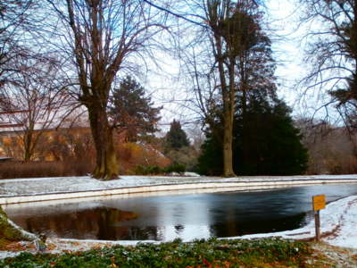 Ratibořice,zámecký park