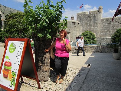 Na dovolené v Dubrovníku