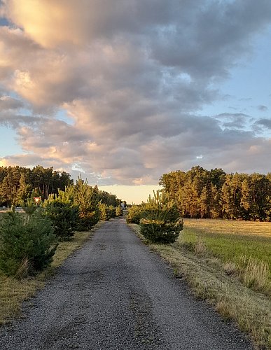 Foto ze startu