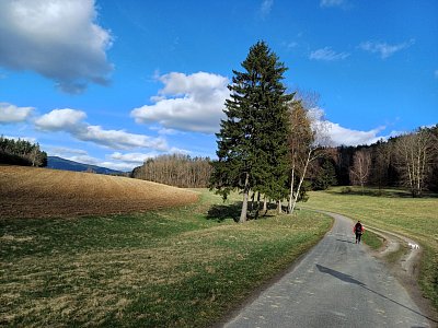 Kouzelná krajina okolo cyklostezky.