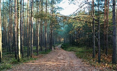 Jestě že navigace funguje, cest je tu mnoho.