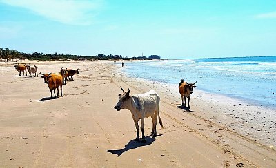 Gambie a Senegal: africký kolorit a lidské příběhy