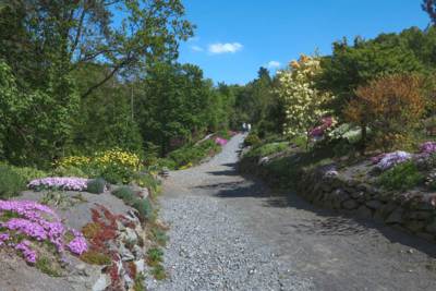 21-Arboretum Makču Pikču