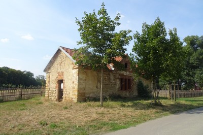 24-susarna-ovoce.jpg