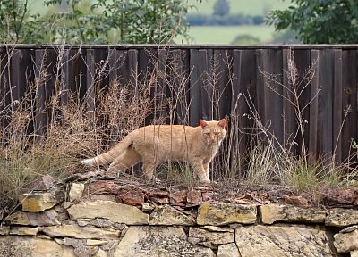 26-litochovicka-zrzka.jpg