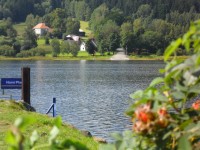 Lipno