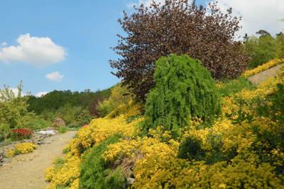 30-Arboretum Makču Pikču