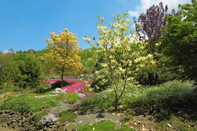 31-Arboretum Makču Pikču