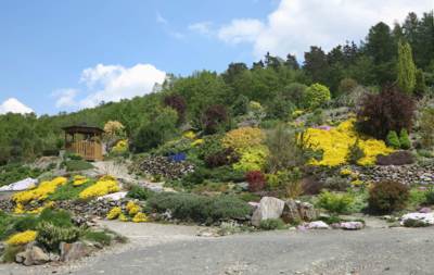 32-Arboretum Makču Pikču