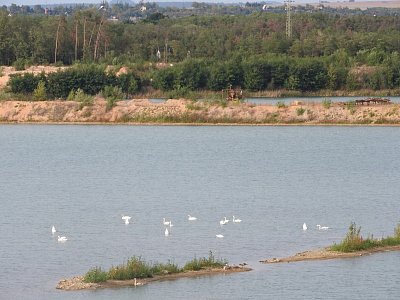 33-labuti-jezero.jpg