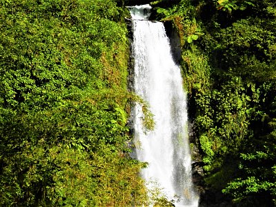 Jeden z vodopádů Trafalgar Falls