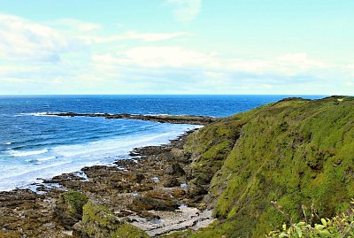 34-niarbyl-05-skutecne-je-to-ocas.jpg