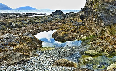 34-niarbyl-13.jpg