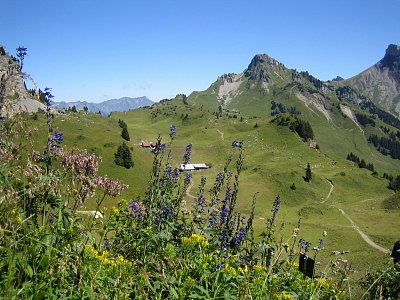 34-swiss-nad-interlakenem.jpg