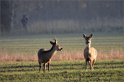 39-hele-cyklista.jpg