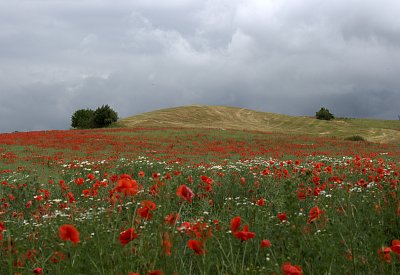 Krajina pod Karlštejnem