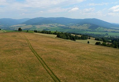 Pohled na cestu ke Kralickému Sněžníku z rozhledny Val u Králík.