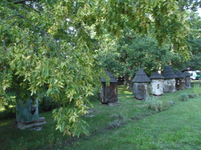 Valašské muzeum v přírodě