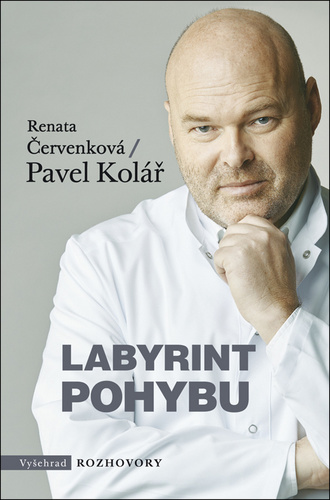 98561683_labyrint-pohybu.jpg