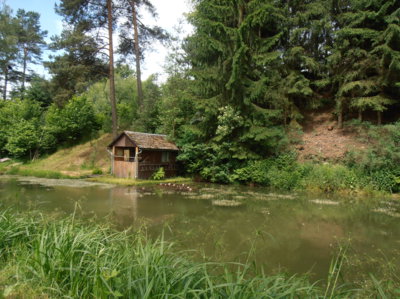 Chatička v leknínech