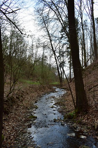 Brloh - lom - Údolí Brložského potoka