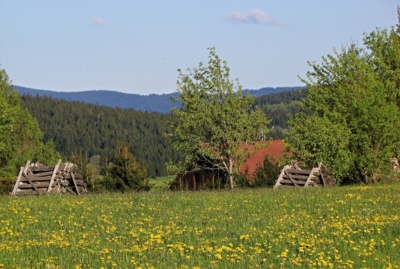 Šumava