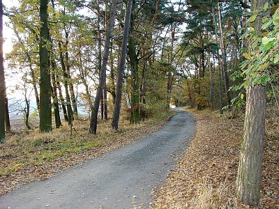 Cesta pod Tachovským vrchem