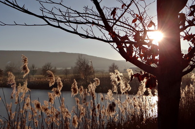 Zlaté jezero, 1. 1. 2017