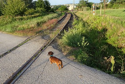 Železnice