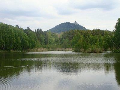 Pateřinka v zeleni