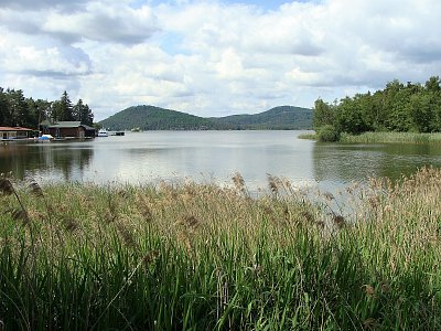 Máchovo jezero včera*