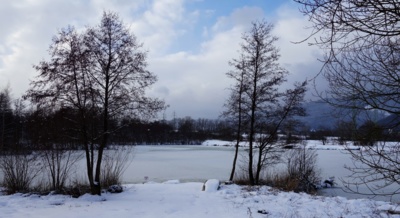 Zima na rybníčku