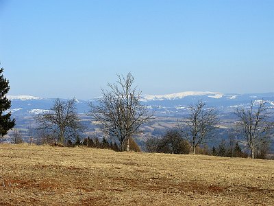 Krkonoše z Kozákova